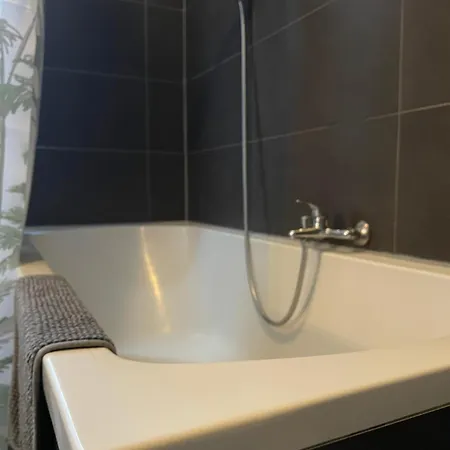 Schängelrooms * Koblenz (Rhineland-Palatinate)