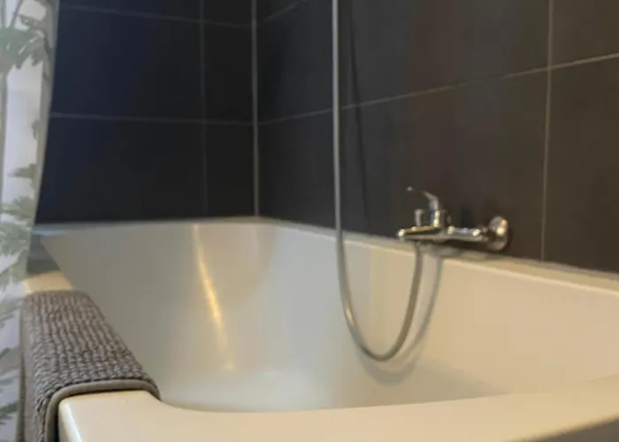 Schängelrooms * Koblenz (Rhineland-Palatinate)