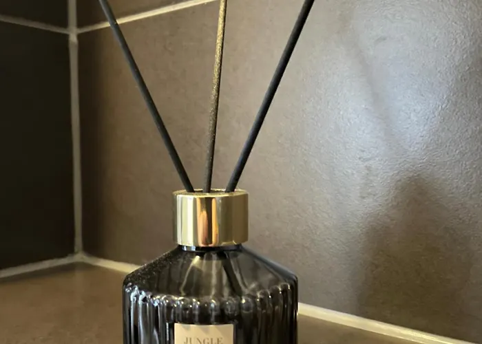 Schängelrooms * Koblenz (Rhineland-Palatinate)