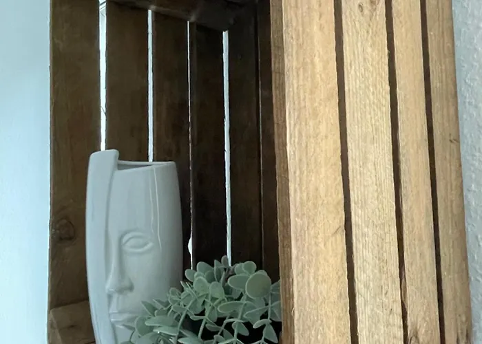 Schängelrooms Koblenz (Rhineland-Palatinate)